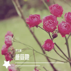 尹小美