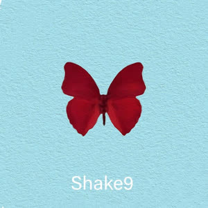Shake9_