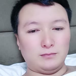 伤心的骆驼