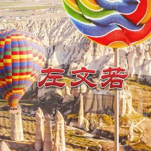 左文若