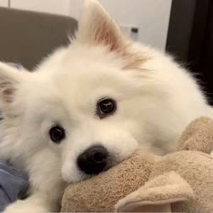 张潇洒