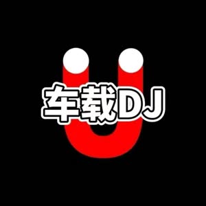 潮人车载DJ (优盘)