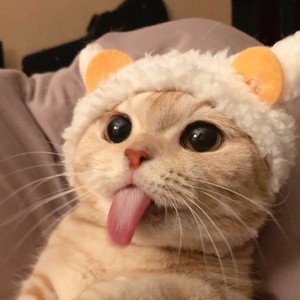 郭瑞琳