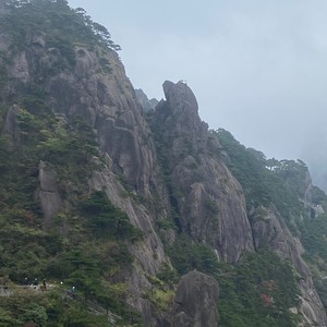凌风中
