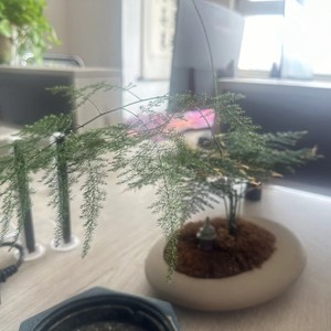 姜玉国