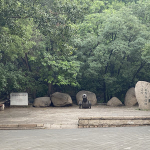 刘闹闹