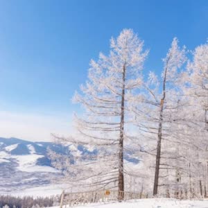 李永雪