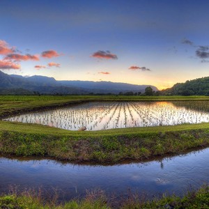 An天阳哥哥