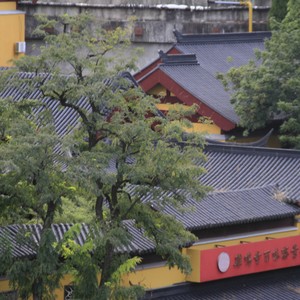 小熊