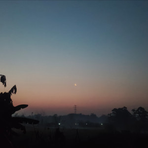 预制香音