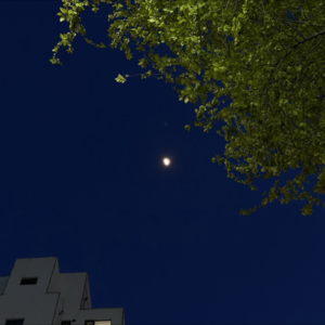 晚月moon