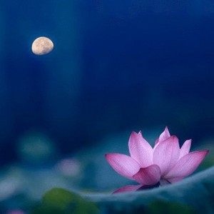 文武全