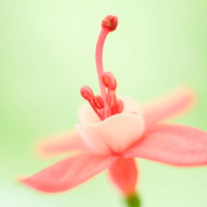 An梦梦梦梦姐