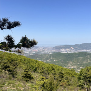 小鱼儿