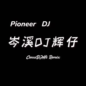 岑溪DJ辉仔
