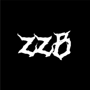 320zzb