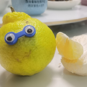 蜜桃爱唱歌1