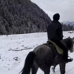 秦学涛