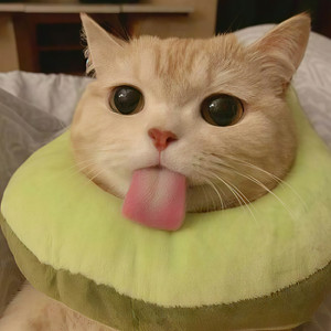 萍仔
