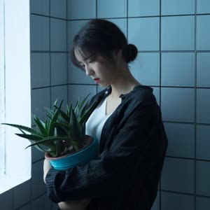 起风了