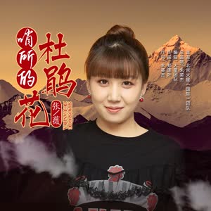 张薇