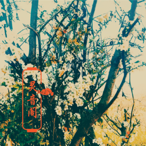 上官子柠